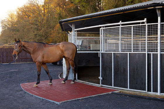 Guter Preis Anpassungsmatte für Gleitsicherung aus Gummi online