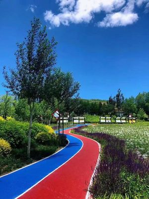 Guter Preis Rechteckige Laufstrecke mit Verblendungsbeständigkeit für Sport im Freien online