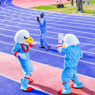 Guter Preis Nicht giftige Sandwich-Laufbahn, athletische Rennstrecke mit IAAF-Bescheinigung online