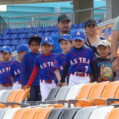 Guter Preis HDPE-Kunststoff-Stadionsitz mit Anti-Aging-, Anti-UV- und feuerfesten Eigenschaften für Stadien und Arenen online