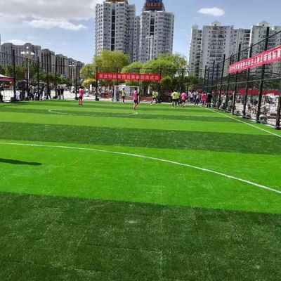 Guter Preis PET pp. materielles synthetisches künstliches Gras für Fußball-Schultraining online