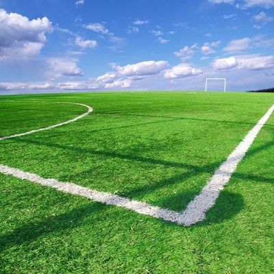 Guter Preis Fußballplatz-synthetisches künstliches Gras Anti-UV für die Landschaftsgestaltung von Dekoration Soem-ODM online