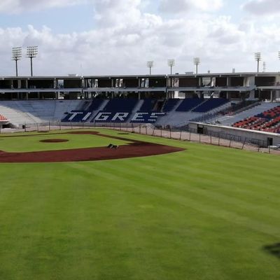 Guter Preis HDPE-Material Stadion Sportsitze 5 Jahre - W 430 mm * D 600 mm * H 835 mm online