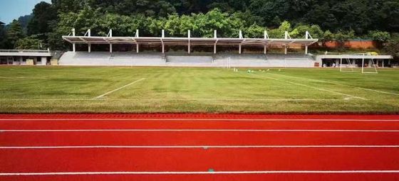 Guter Preis 8 m breite Laufbahnen mit geringer Wartung und Verblendungsbeständigkeit online