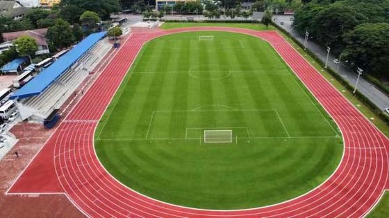 Guter Preis Sportliche Laufbahnen aus Gummi mit geringer Wartung für Fitnessplätze online