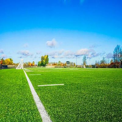 Guter Preis 40 bis 60 mm Grünes Kunstgras 22000 Dichte PP NET online