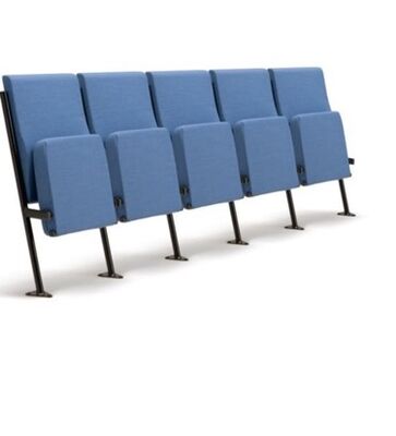 Guter Preis Gewerbliche Bauweise 500 Pfund Kapazität Moderne Theater Sitzgelegenheiten Ergonomisches Design für Hörsäle online